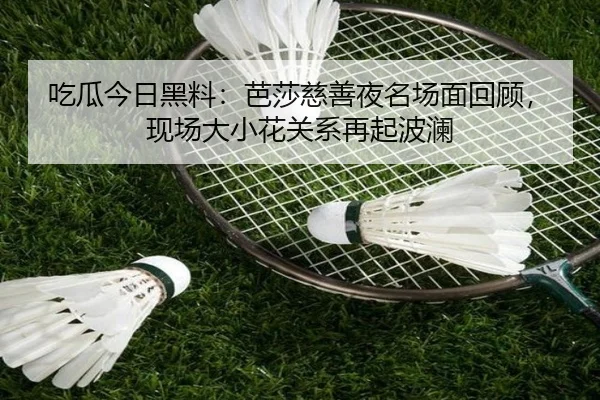吃瓜今日黑料：芭莎慈善夜名场面回顾，现场大小花关系再起波澜
